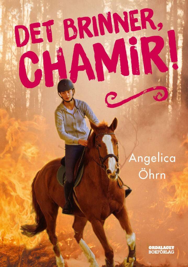 Book Cover: Det brinner, Chamir!