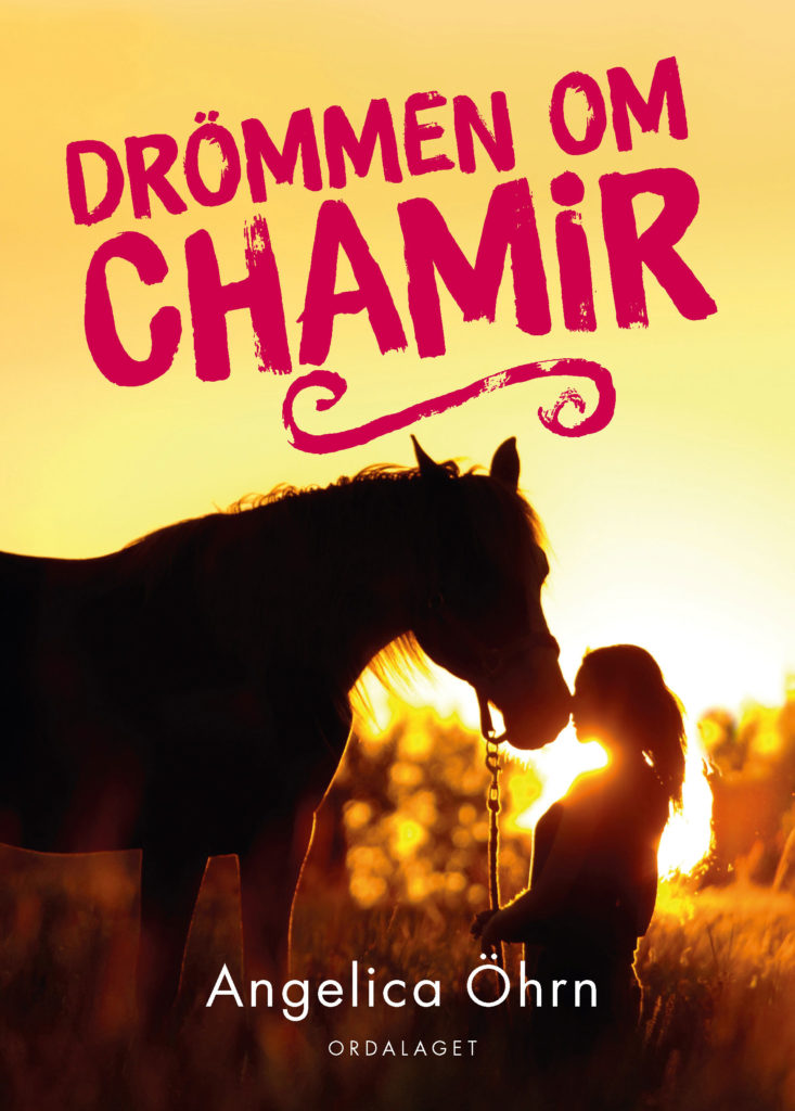Book Cover: Drömmen om Chamir