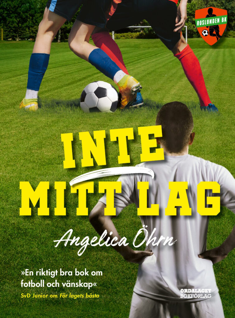 Book Cover: Inte mitt lag