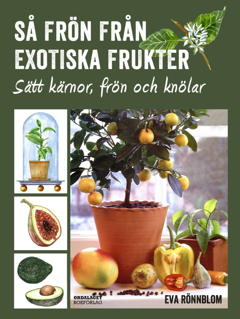 Book Cover: Så frön från exotiska frukter – sätt kärnor, frön och knölar