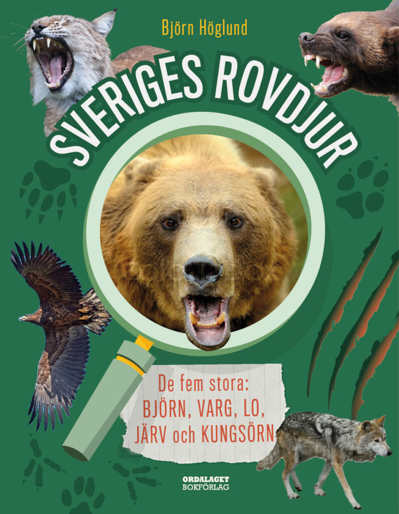 Book Cover: Sveriges rovdjur: de fem stora: björn, varg, lo, järv och kungsörn