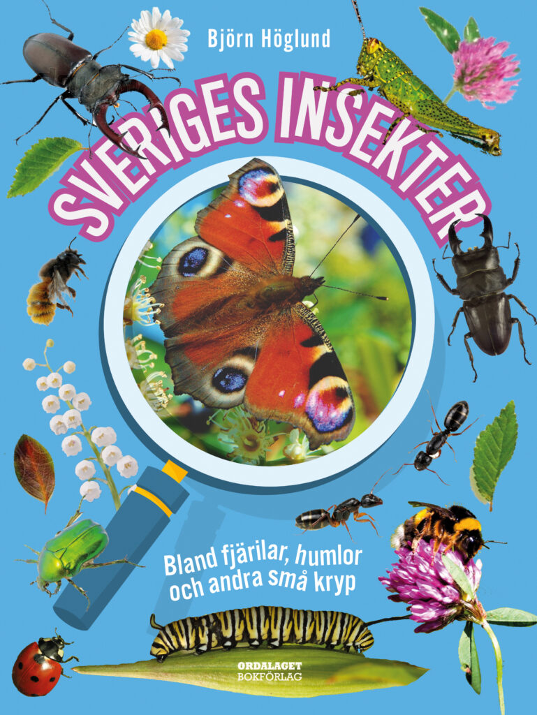 Book Cover: Sveriges insekter: Bland fjärilar, humlor och andra små kryp
