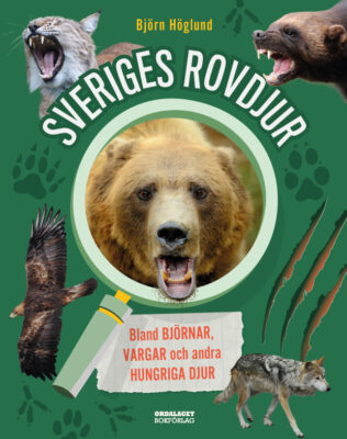 Book Cover: Sveriges rovdjur. Bland björnar, vargar och andra hungriga djur